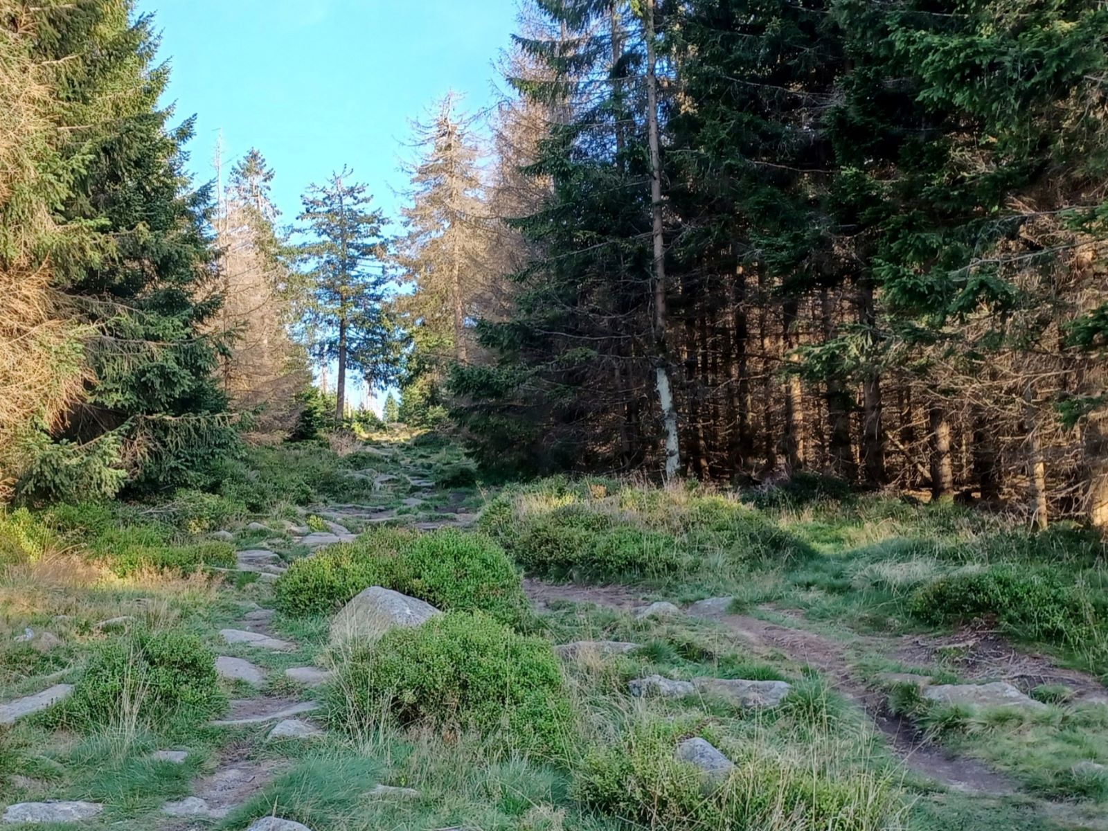 Wandertipp - Achtermannshöhe